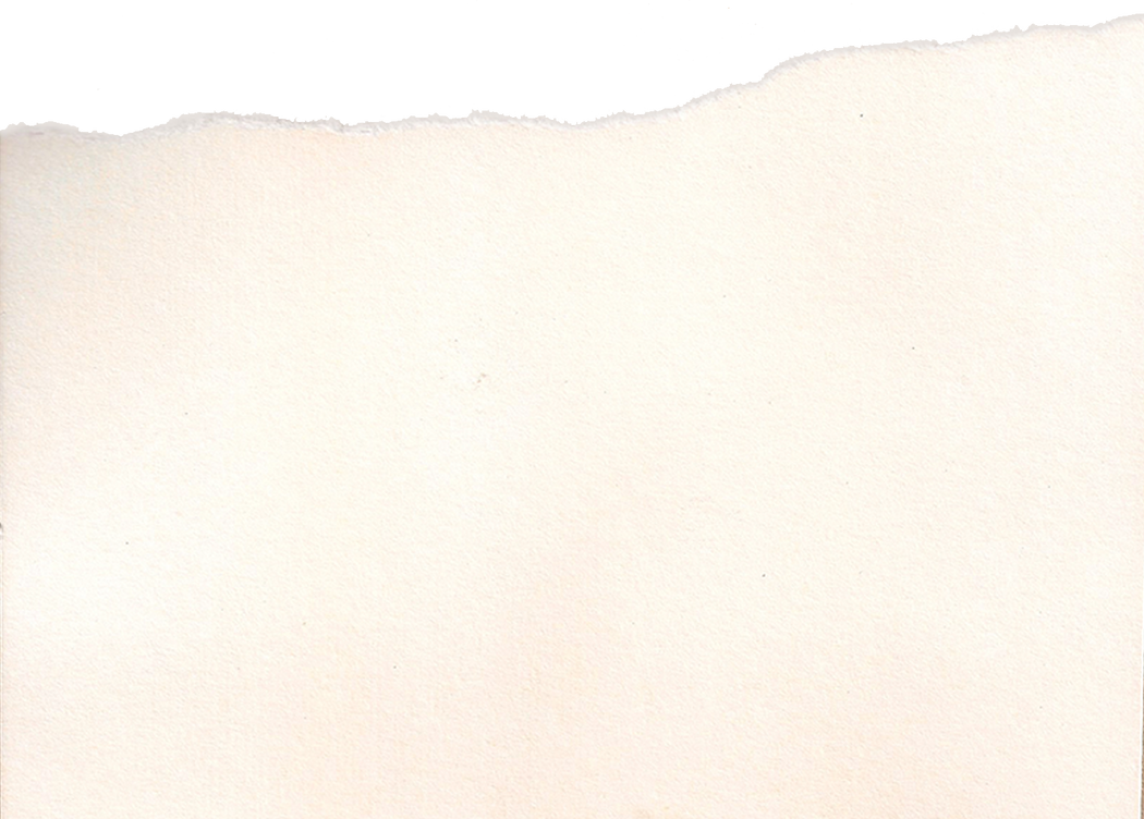 White Card Stock Paper with One Ripped Edge