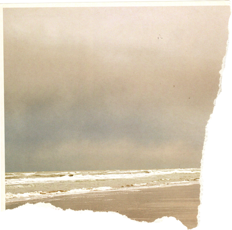 Rip Paper with Ocean View